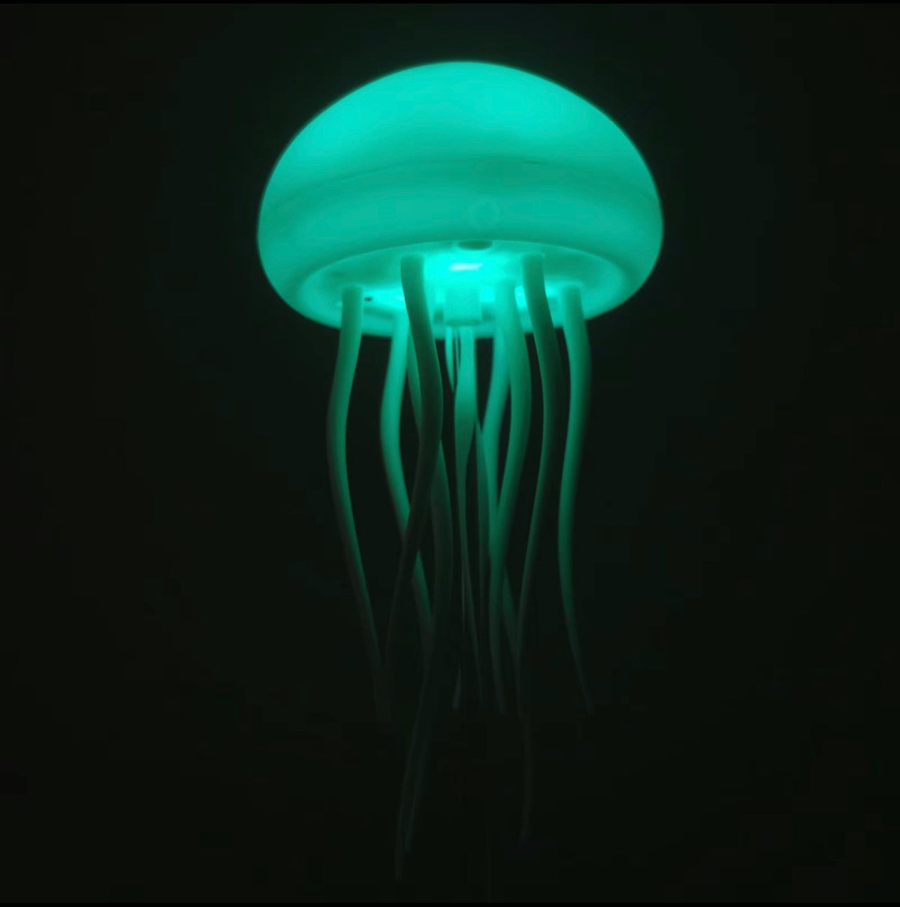 Jellyfish Lamp